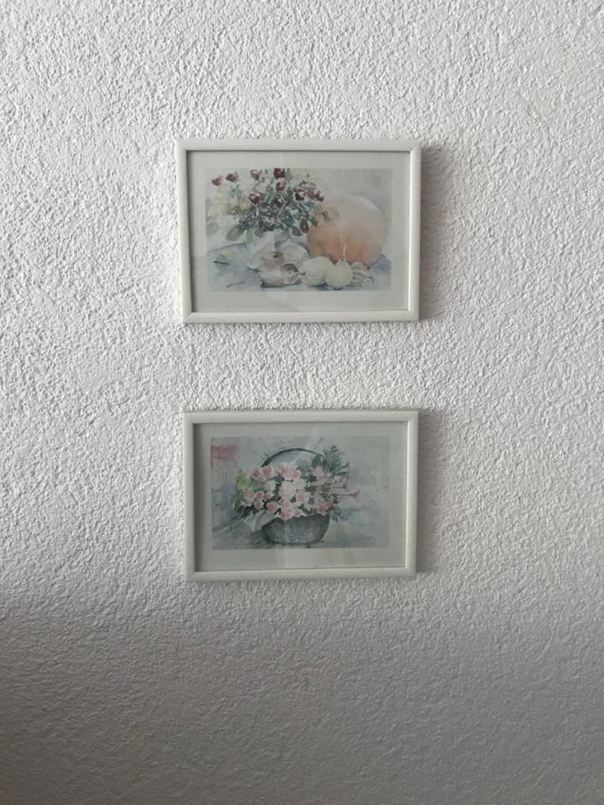 Apartment Daniela ラドルフツェル・アム・ボーデンゼー エクステリア 写真